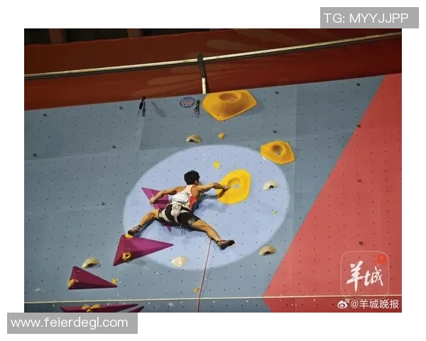 数据分析：广州攀岩队的实力表现