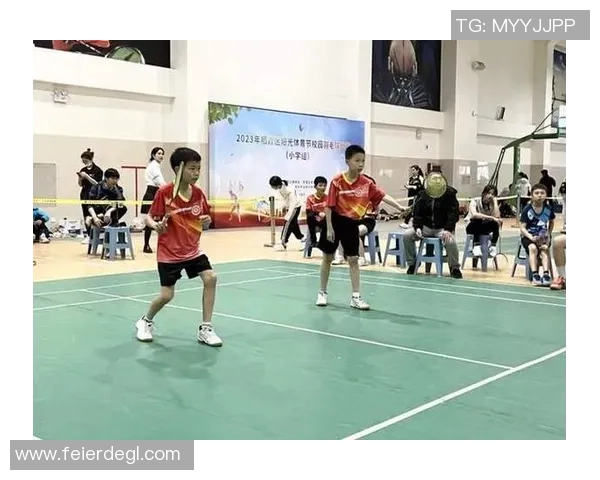 专业解读：南京羽毛球队的控制打法