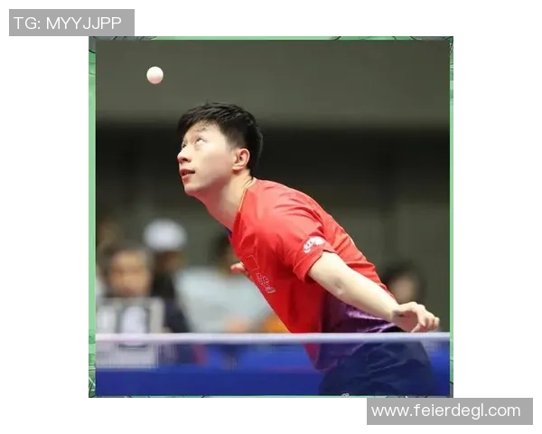 乒乓球新手攻略：灵活性入门指南