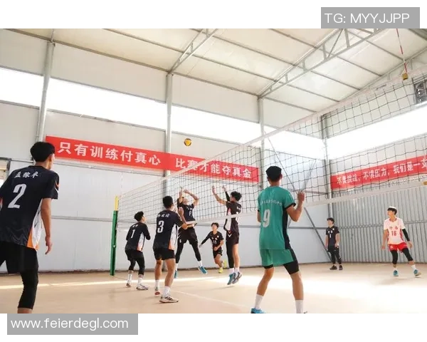 排球战术：广州排球队的运营体系