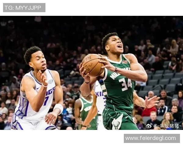 数据分析：杭州篮球队的灵活性表现